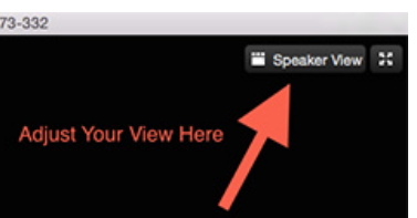 zoom gallery view icon